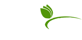 Youzangroup